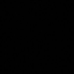 Meet your Posher, Efren